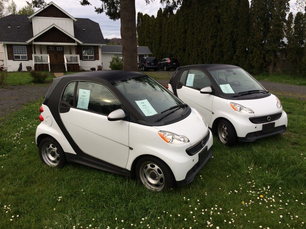 I’ spotted these two little twins in front of a rural house on the way to our regular hiking spot, and had to stop and find out; are they both [&hellip;]