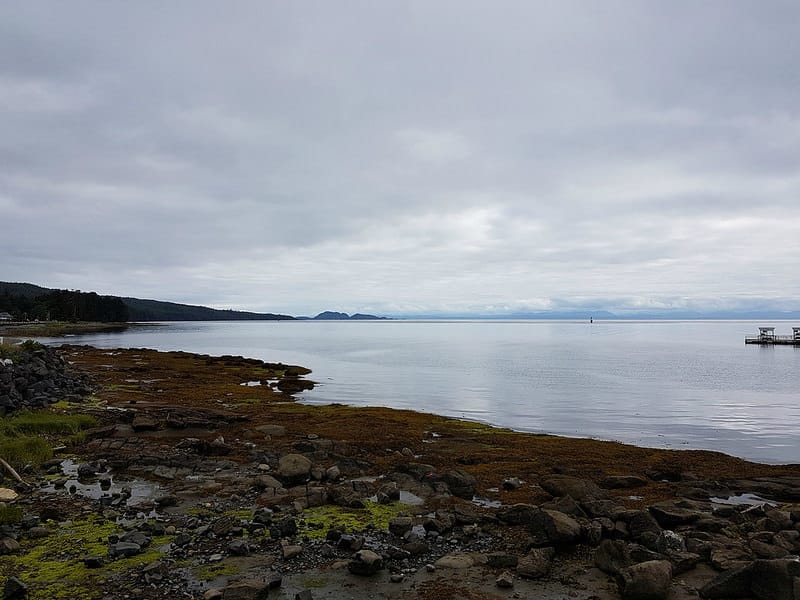 While last segment was rather light on Curbside Classics this one will make up for it as we explore Vancouver Island.