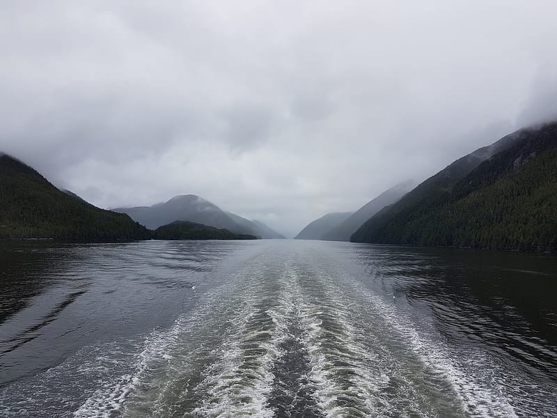 Day five is ferry ride from Prince Rupert to Port Hardy on Vancouver Island. So a little short of curbside classics but lots of nice scenery.