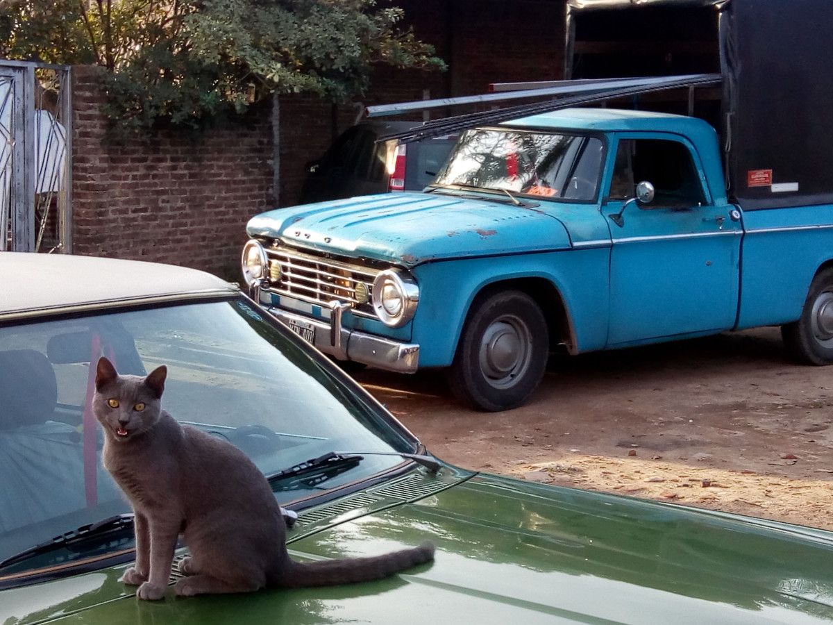 &nbsp; Jose Louis H. sent me these great shots of an old 1971 or so Dodge D100 still working hard in Argentina. And that looks to be a similar vintage [&hellip;]
