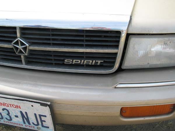 Here’s a detail of a car seldom seen by most of us. You doubt? Read on!