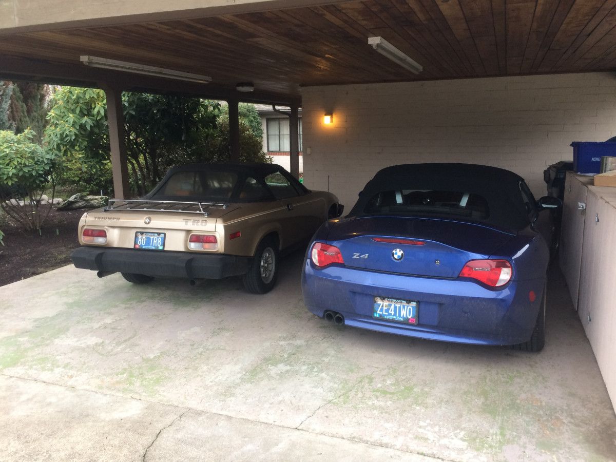 I changed up my walk the other morning, and two blocks from my house I saw that we have new neighbors. Looks like an interesting couple. I’m looking forward to [&hellip;]