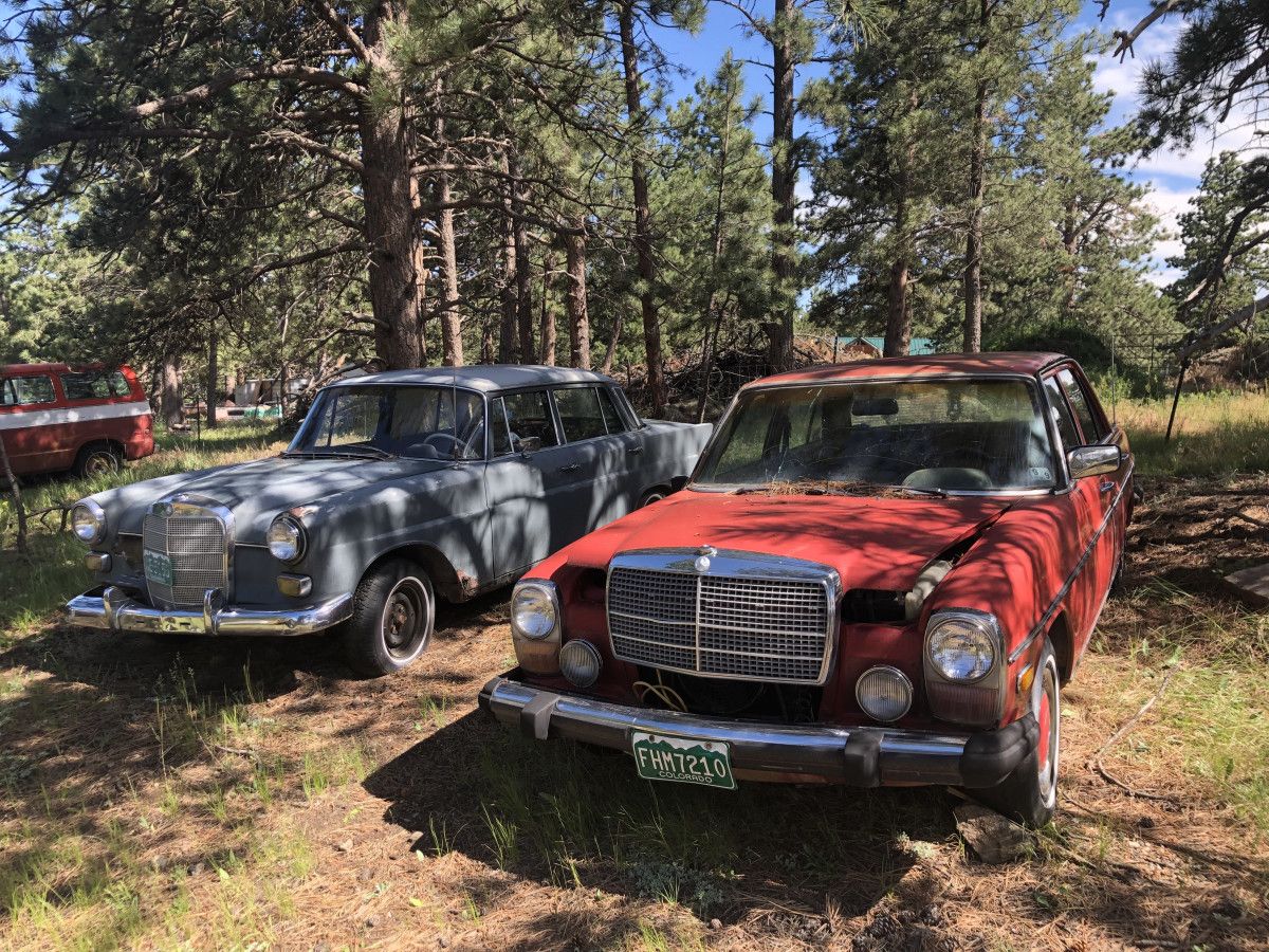 A few weeks ago I was up in the hills way above Fort Collins orchestrating a home inspection and after walking around noticed the neighboring lot had a lot of [&hellip;]