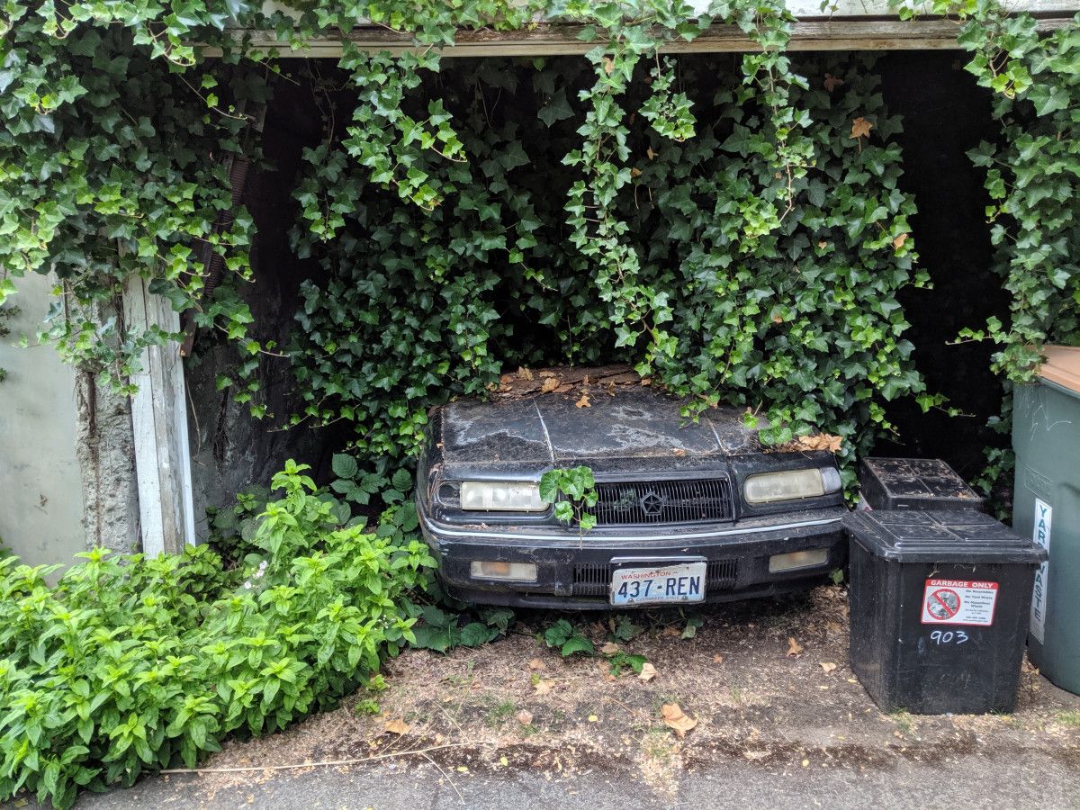 CC Outtake/Caption Contest: 1993-95 Chrysler LeBaron – Ran When Planted Or should that title be, “Can’t see the LeBaron for the trees”?