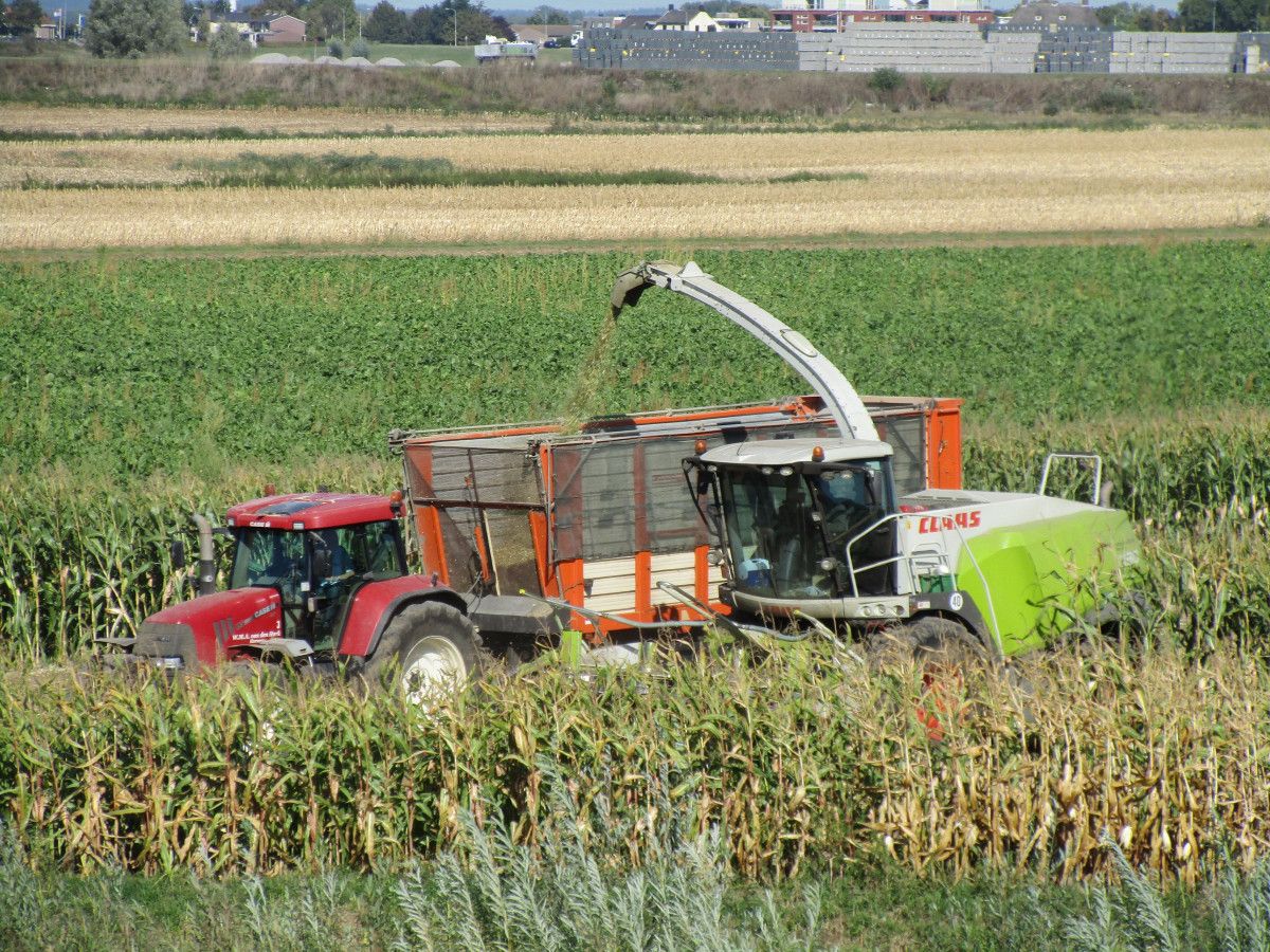 Dry land and sunny weather, so far the harvesting circumstances have been optimal for the farmers and the agricultural contractors they hire. After abundant rainfall, the harvest is often a [&hellip;]