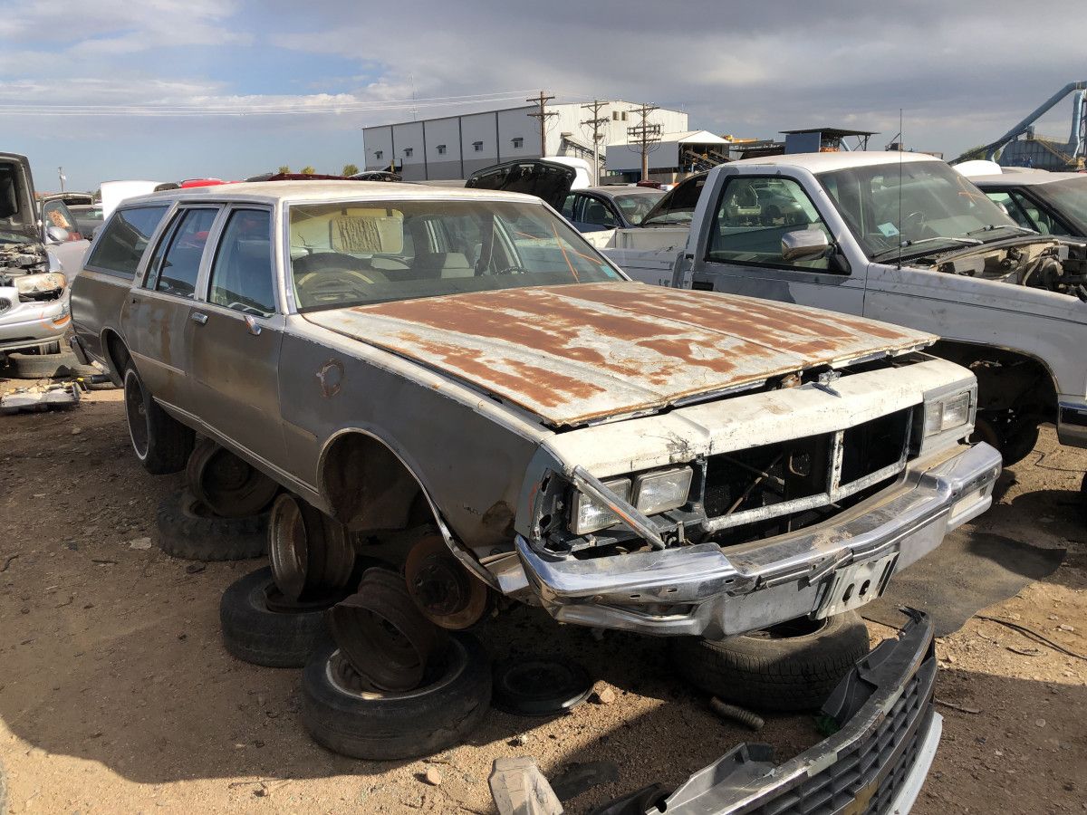 Junkyard Classic: 1983 Chevrolet Caprice Classic Wagon – Goodbye, Jumbo 16 IMG 5675