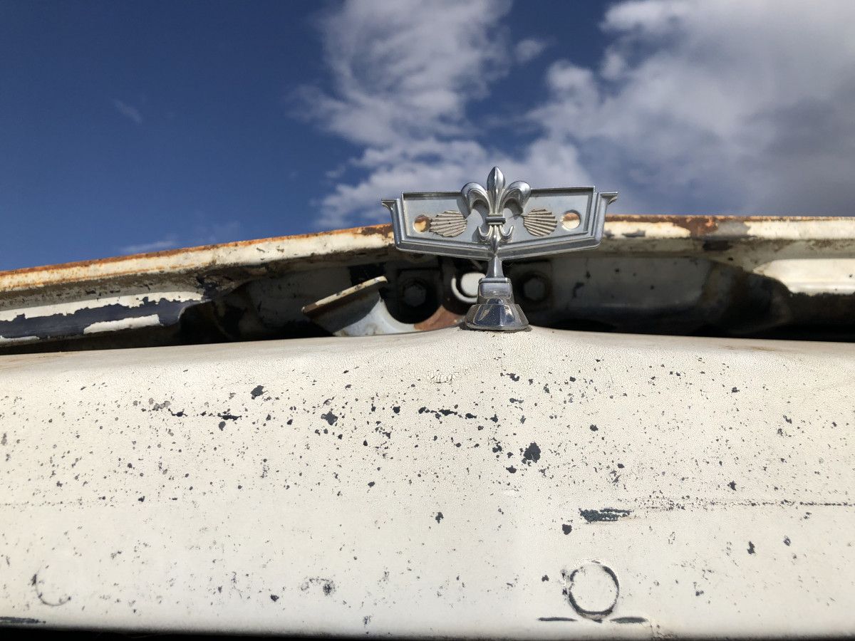 Junkyard Classic: 1983 Chevrolet Caprice Classic Wagon – Goodbye, Jumbo 3 IMG 5676