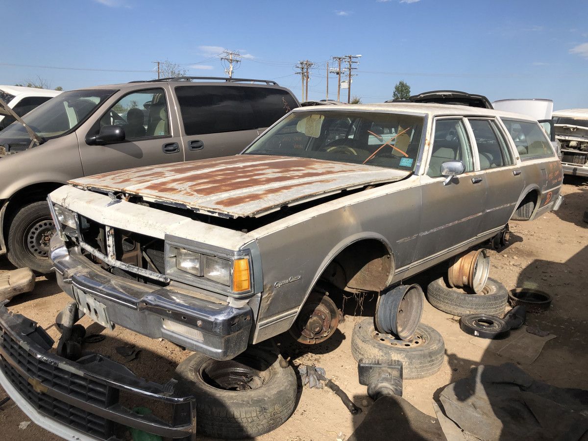 Junkyard Classic: 1983 Chevrolet Caprice Classic Wagon – Goodbye, Jumbo 2 IMG 5677