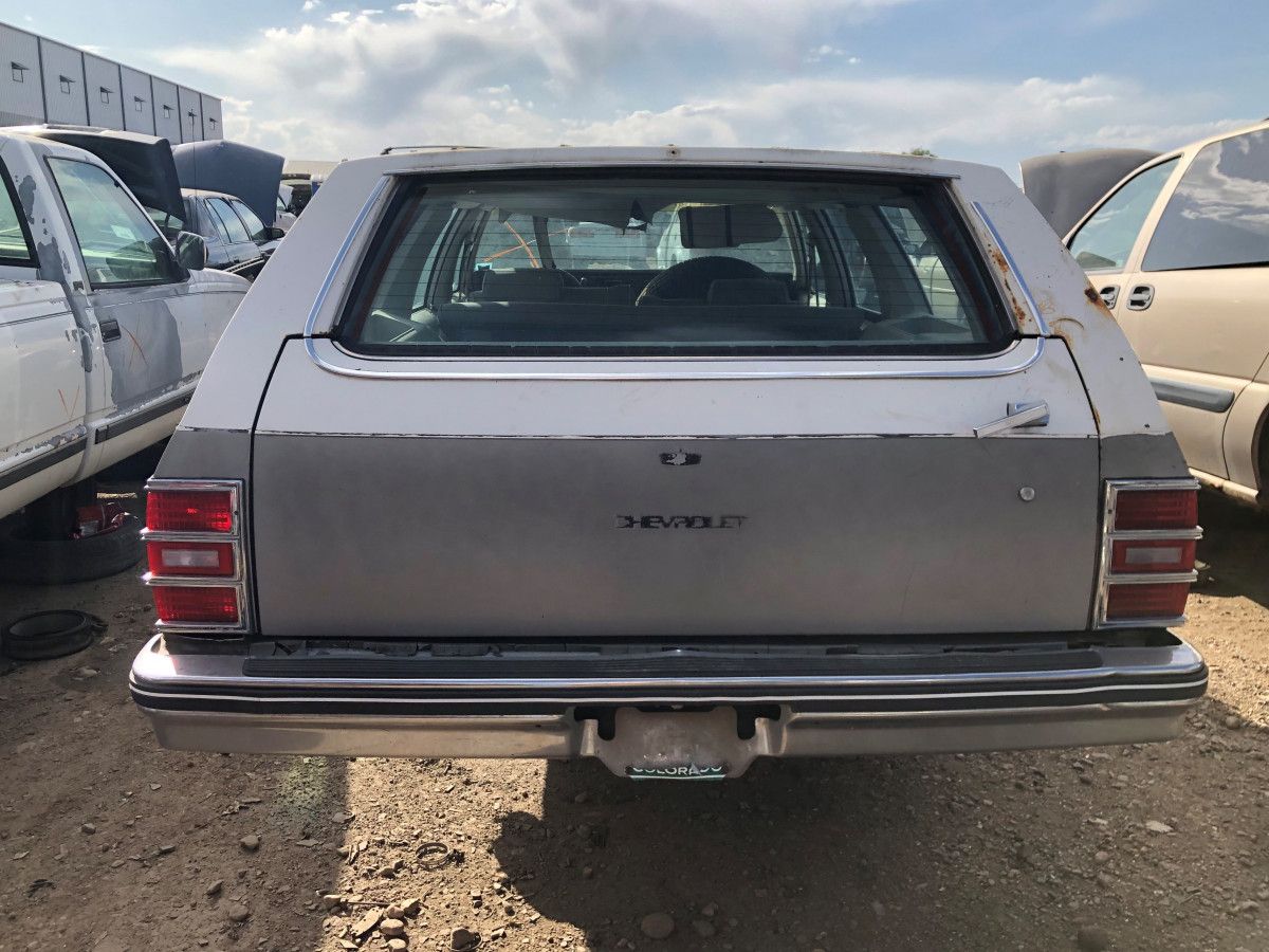 Junkyard Classic: 1983 Chevrolet Caprice Classic Wagon – Goodbye, Jumbo 5 IMG 5679 2