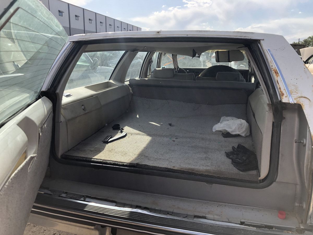 Junkyard Classic: 1983 Chevrolet Caprice Classic Wagon – Goodbye, Jumbo 6 IMG 5681
