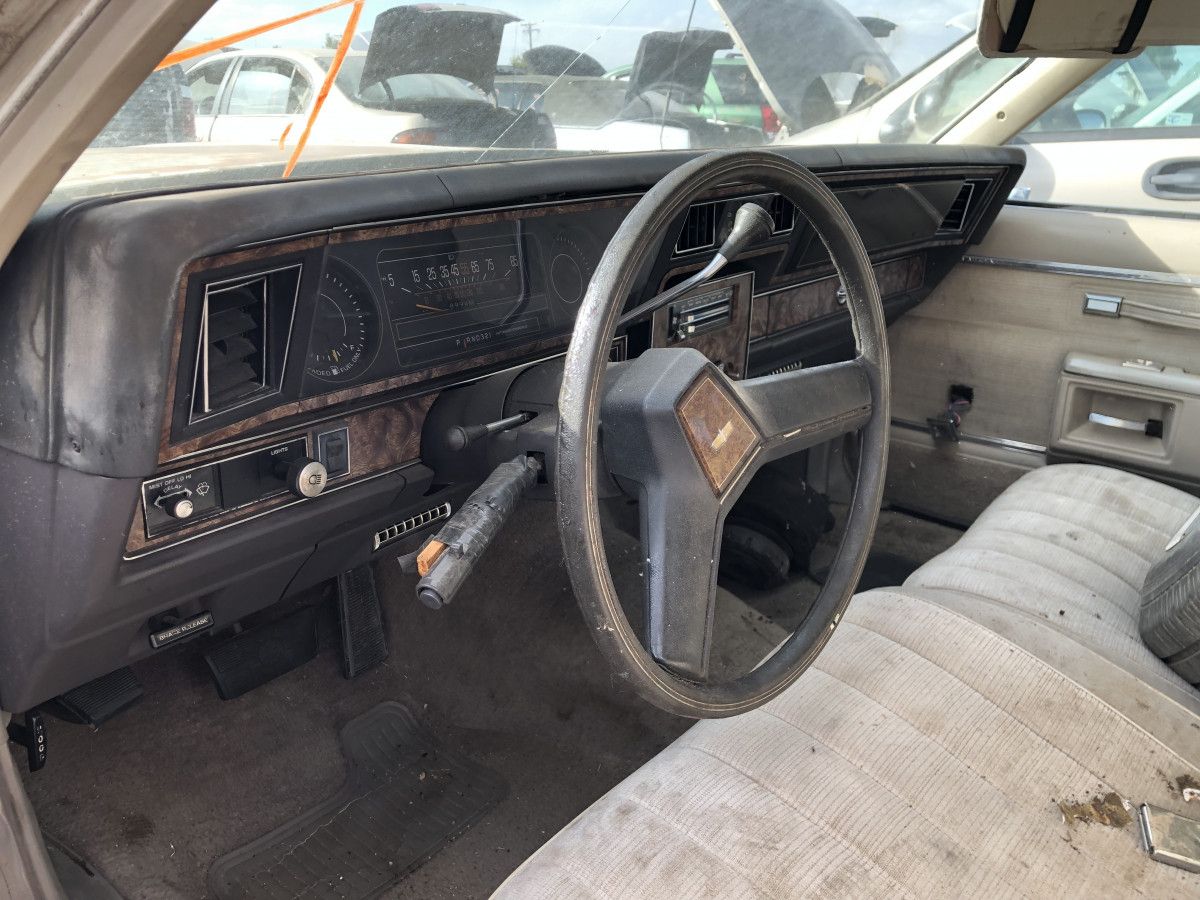 Junkyard Classic: 1983 Chevrolet Caprice Classic Wagon – Goodbye, Jumbo 10 IMG 5687