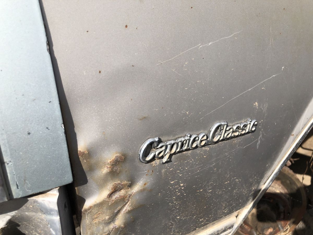 Junkyard Classic: 1983 Chevrolet Caprice Classic Wagon – Goodbye, Jumbo 17 IMG 5694