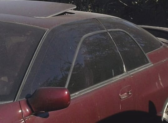 SVX2