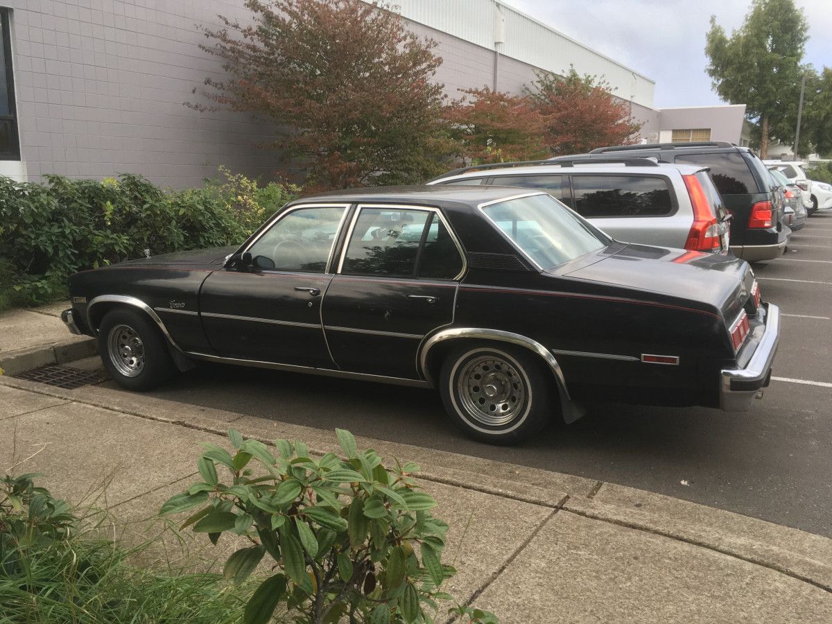 1977 Chevrolet Nova Concours - Proof That Sizzle Trumps Steak 5 CC 399 010