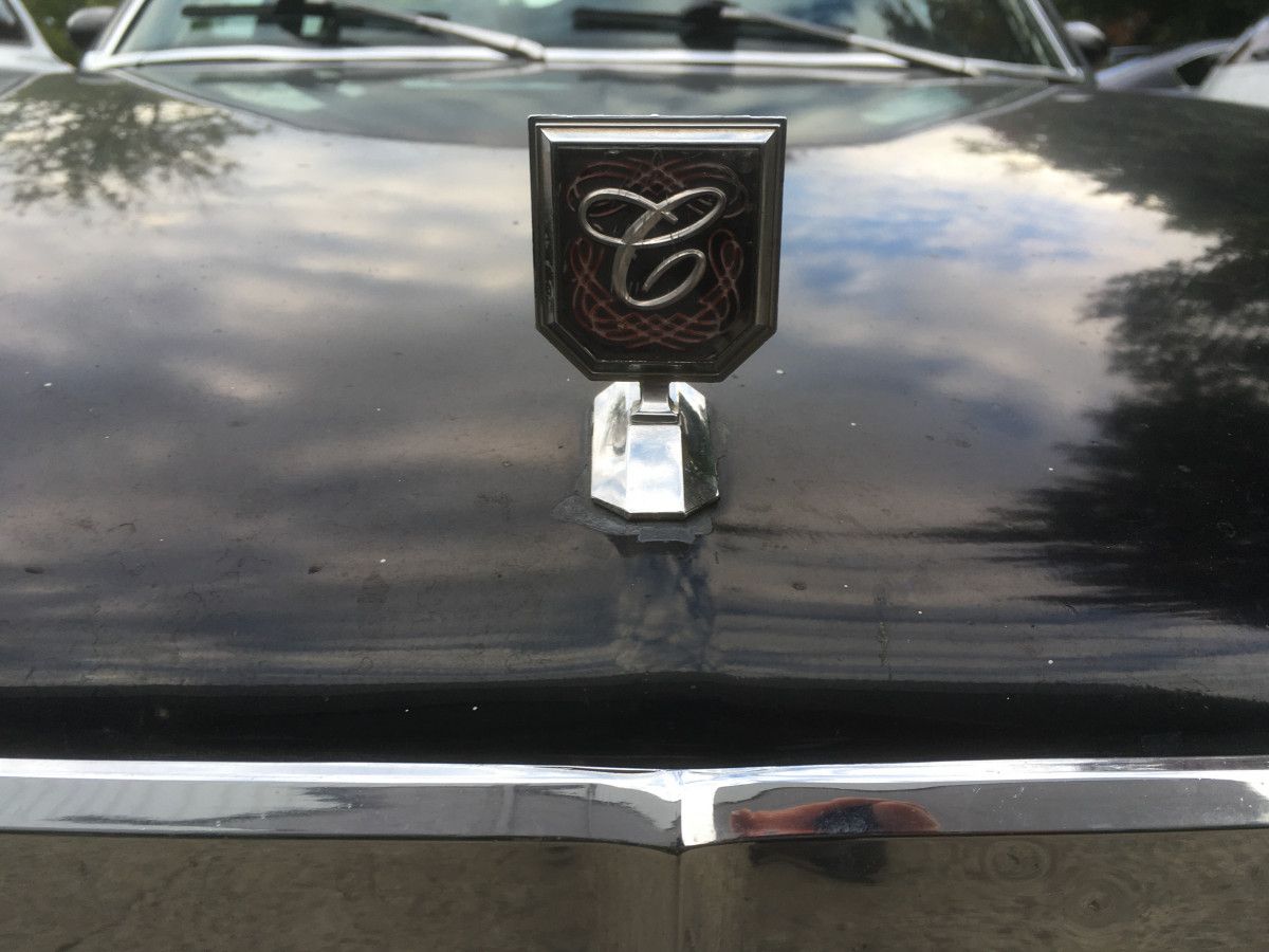 1977 Chevrolet Nova Concours - Proof That Sizzle Trumps Steak 15 CC 399 011
