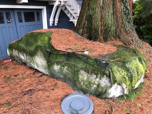 Storing a classic car under an evergreen tree is never a good idea. Especially when said tree sheds needles and pitch all year round. I shot this troubling scene in [&hellip;]
