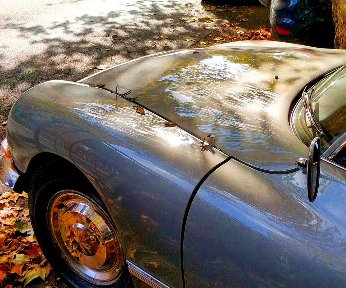 Cohort Pic(k) of the Day: Citroen DS From the Cohort by Bruno Ferlito