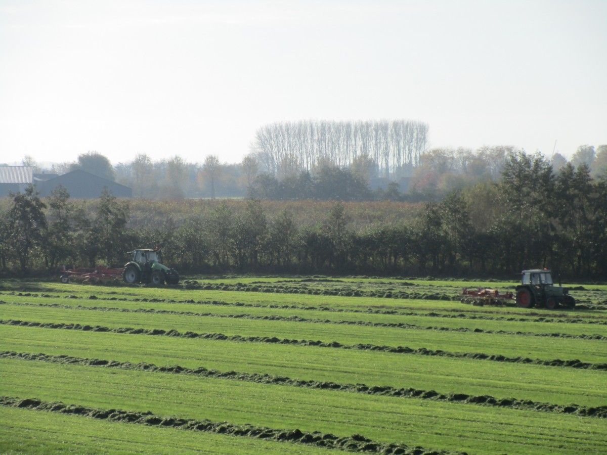 A father and his son were spurring their horses on a pleasant, sunny afternoon in early November. For this year’s last raking job, they were using a Deutz-Fahr 4WD and [&hellip;]