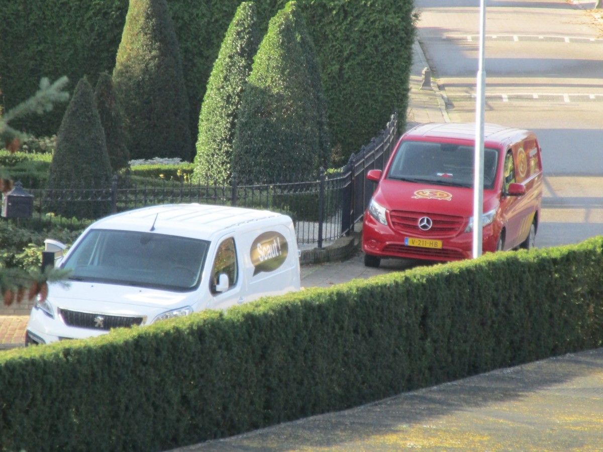 CC Global: Light Commercial Vehicles - Vans, Trucks, Tractors And (Semi-) Trailers 4 2018 Peugeot Expert and 2017 Mercedes-Benz Vito
