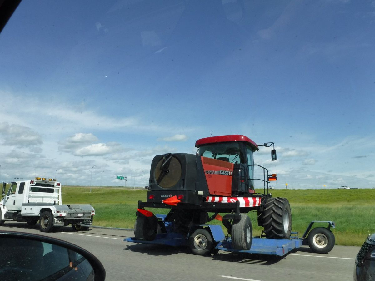 I was cruising the Cohort, and when I came across this shot posted by canadiancatgreen, I was a bit flummoxed.  What was I seeing? It wasn’t until I enlarged it [&hellip;]
