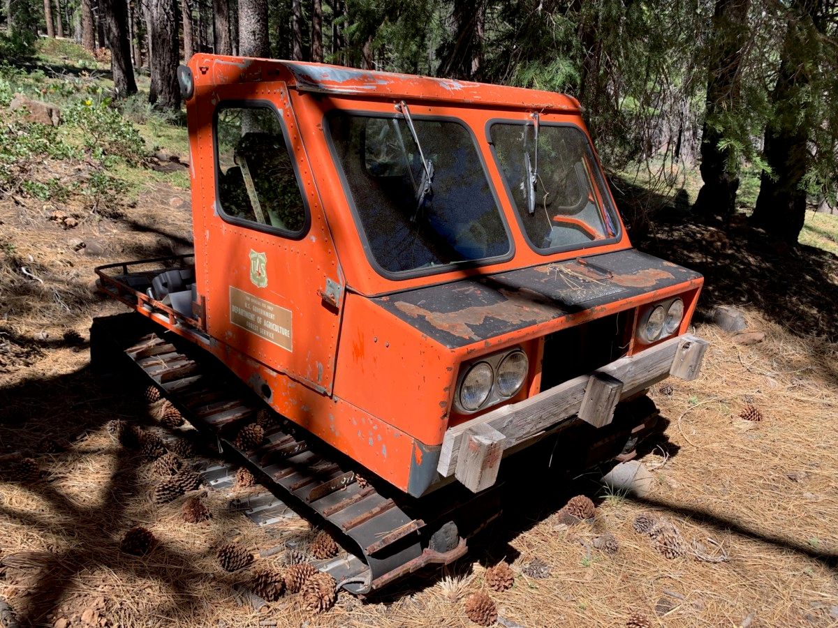 On a recent camping trip we found a great site in the Tahoe National Forest, a short distance from a field research station jointly run by the University of California [&hellip;]