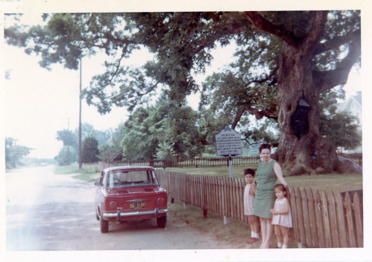 Last post, I went on about how my family’s 1961 Plymouth Suburban defined “car” for me as a toddler. While I stand by that assessment – based largely on recollections [&hellip;]