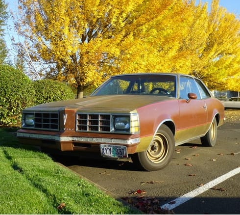 (first posted 12/19/2015)    We’ve recently had a deep immersion in the downsized for-1978 Malibu, both as a COAL and vintage review. The Malibu had an analogue over at Pontiac: the [&hellip;]