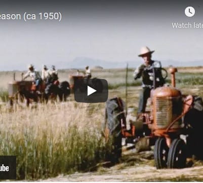 I stumbled into this and found it fascinating and engaging. Having spent several summers helping out during haying season at a Mennonite farm in Iowa, I assumed the process would [&hellip;]