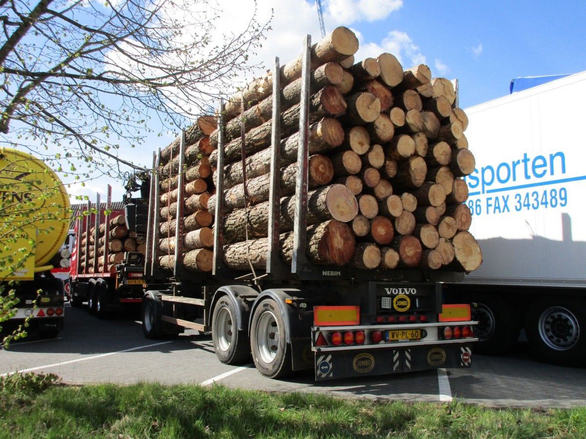 Logs, posts and crane mats. Those were the woody freights on display. What the trucks have in common is that the driver also has a part-time job as a crane [&hellip;]