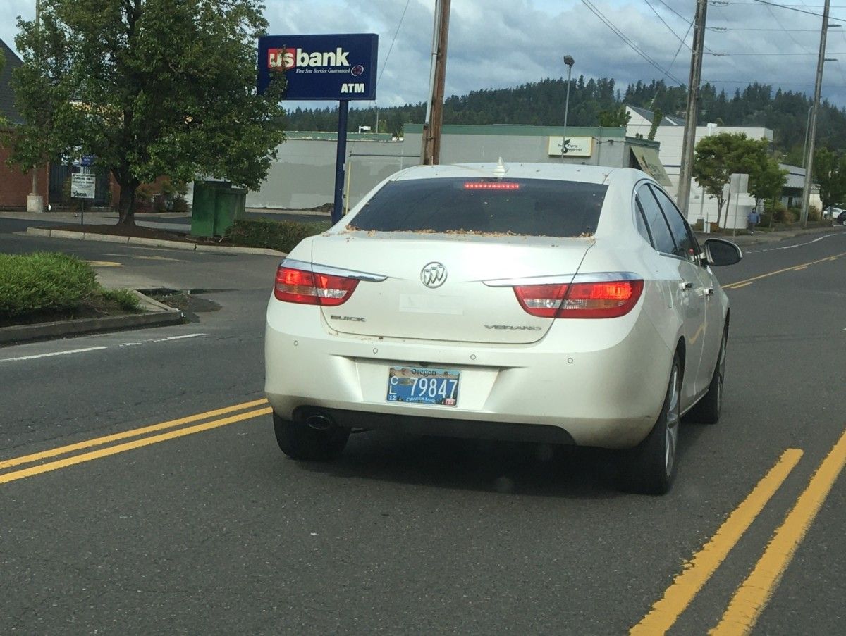 As I followed this Verano in traffic, I saw distinct plumelets of smoke emit from its tailpipe, seemingly when the throttle was first closed; or maybe the other way around. [&hellip;]