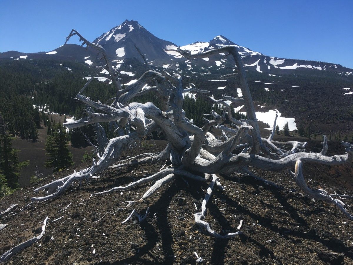 North and Middle Sister from Four-In-One Cone (disclaimer: very low automotive content)    Yesterday’s outing started out as a typical 8 mile round-trip hike up to a high Cascades view [&hellip;]