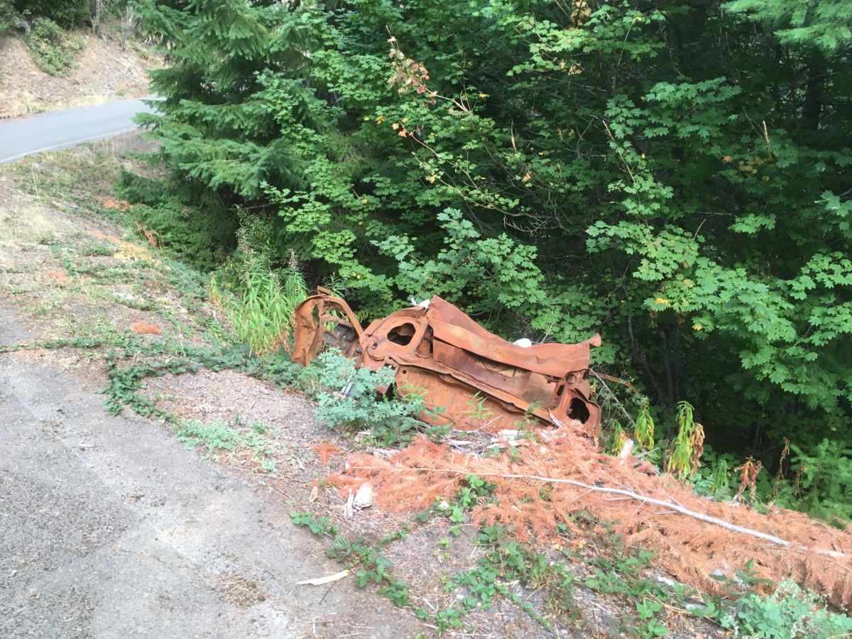 We were driving along a Forest Road in the mountains when I caught sight of this. Somebody went off the road! And the car caught fire! But it must have [&hellip;]