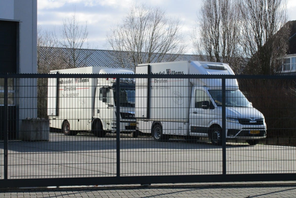 No behemoths with towering cabs today. Instead, some agile and enclosed delivery trucks, like this meat-hauling MAN duo. The 2021 TGE in front is nothing more -or less- than a [&hellip;]