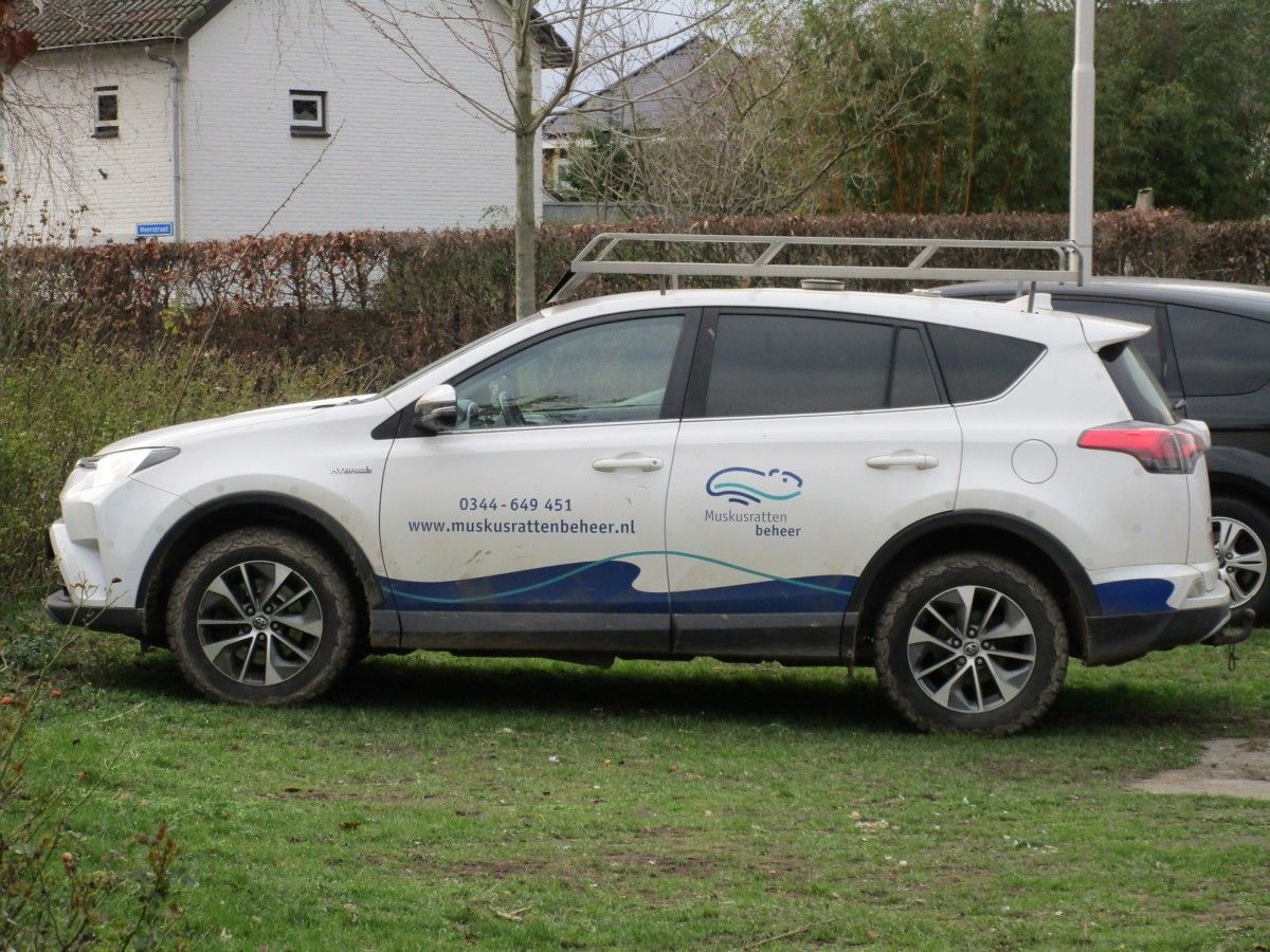 CC Global: Walking By Tour - Miscellaneous Wheeled Items 14 2018 Toyota RAV4 2.5 Hybrid - 2