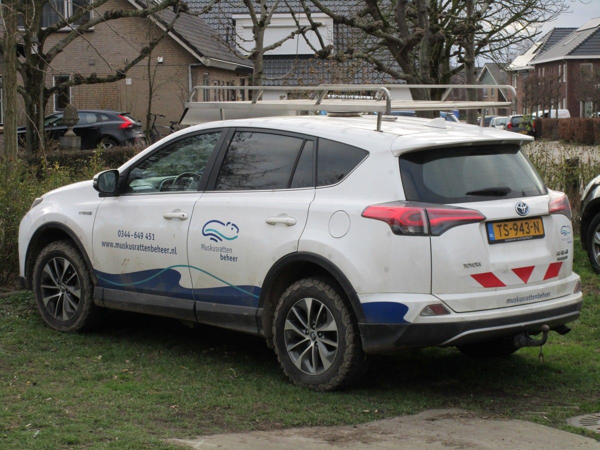 CC Global: Walking By Tour - Miscellaneous Wheeled Items 15 2018 Toyota RAV4 2.5 Hybrid - 3