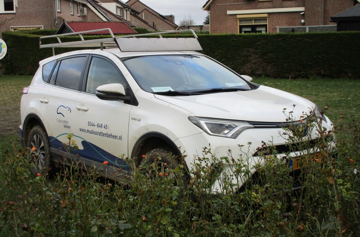 CC Global: Walking By Tour - Miscellaneous Wheeled Items 13 2018 Toyota RAV4 2.5 Hybrid - 1