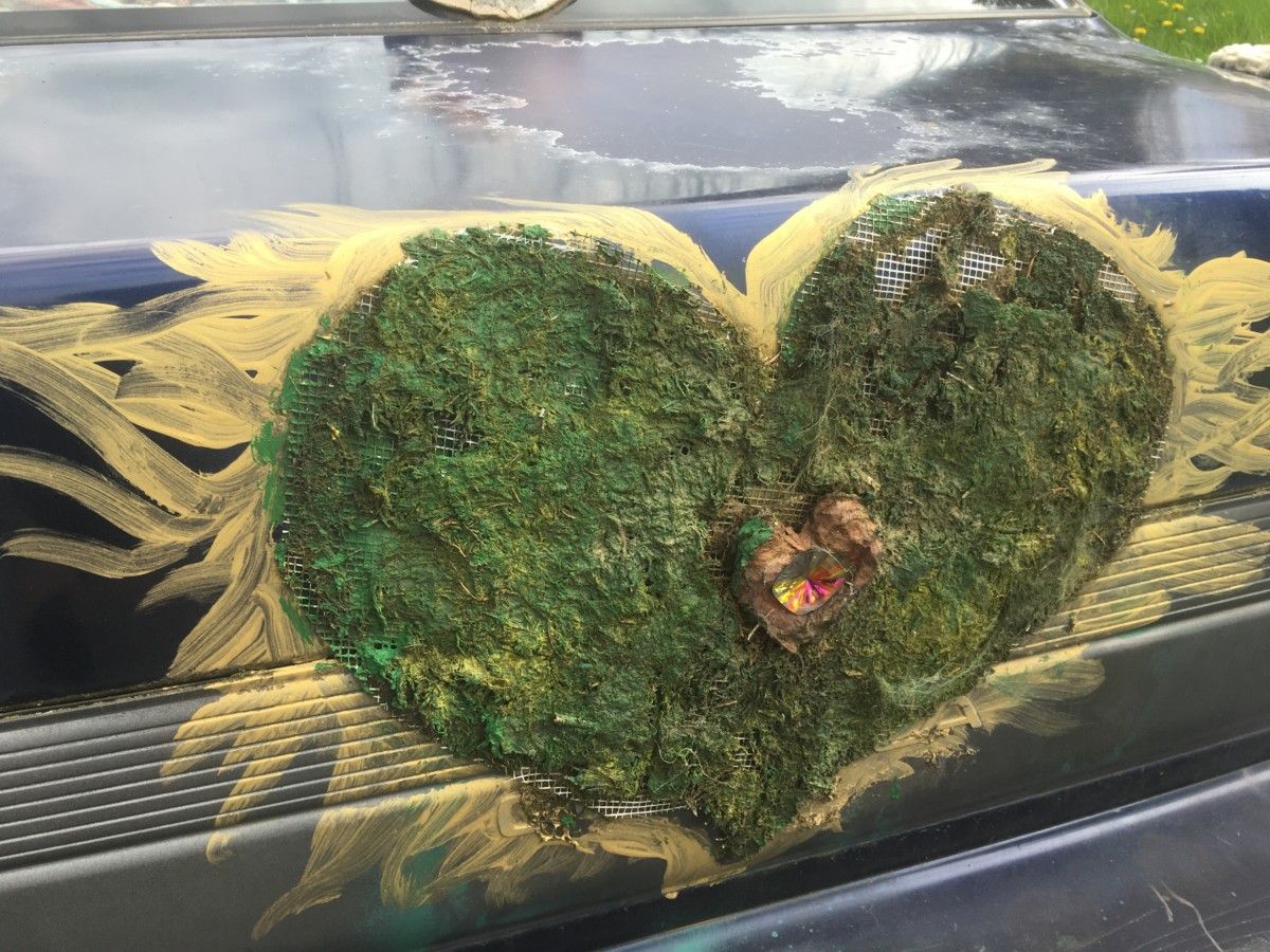 Curbside Outtake: Old Corolla With Bio-Art Old Corollas are evergreens, but what about “green” Corollas, with what appear to be living or at least formerly-living elements on its exterior?