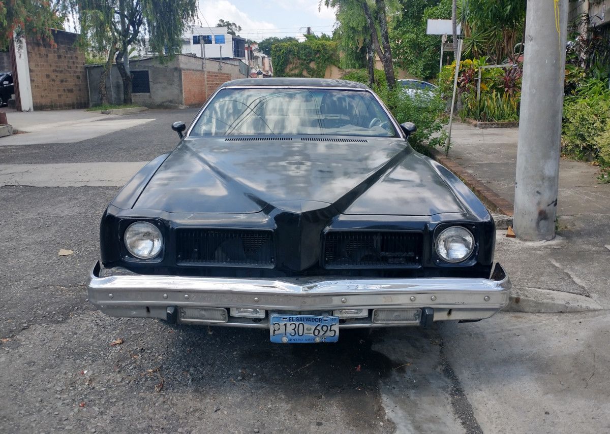 Here’s a menacing creature, tightly wearing its dark tailored suit, and ready to push lesser creatures out of the way on looks alone. Finally, a colonnade GM body had crossed [&hellip;]
