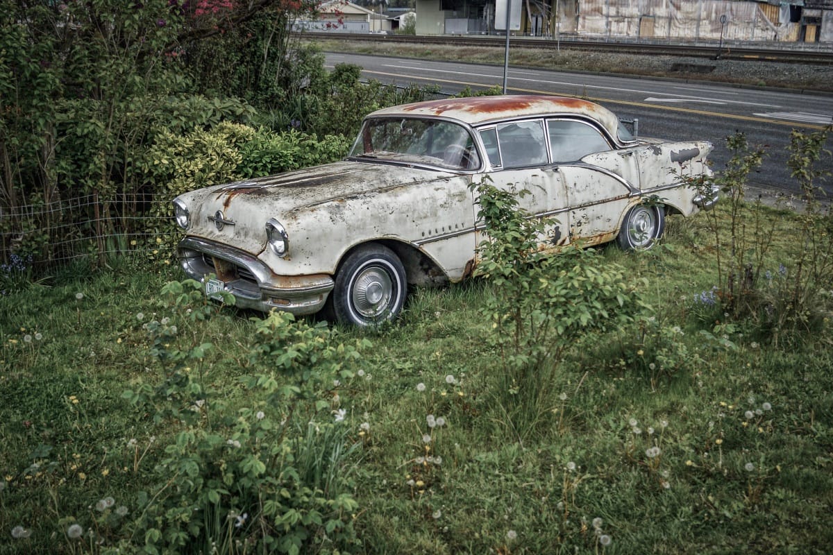 Images by Ralf K, from the Cohort. 