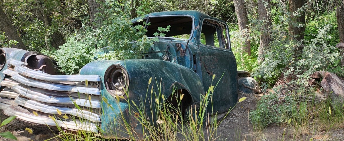 Photos submitted by Charlie Kelley. To be a silent witness of the changing of the seasons is the curious fate of cars junked by the countryside. I was reminded of [&hellip;]