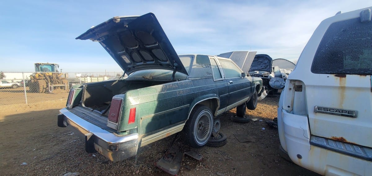 It’s been a while since we caught up with the junkyard visits that canadiancatgreen uploads at the Cohort. With his finds being quite plentiful, for today I decided to highlight [&hellip;]