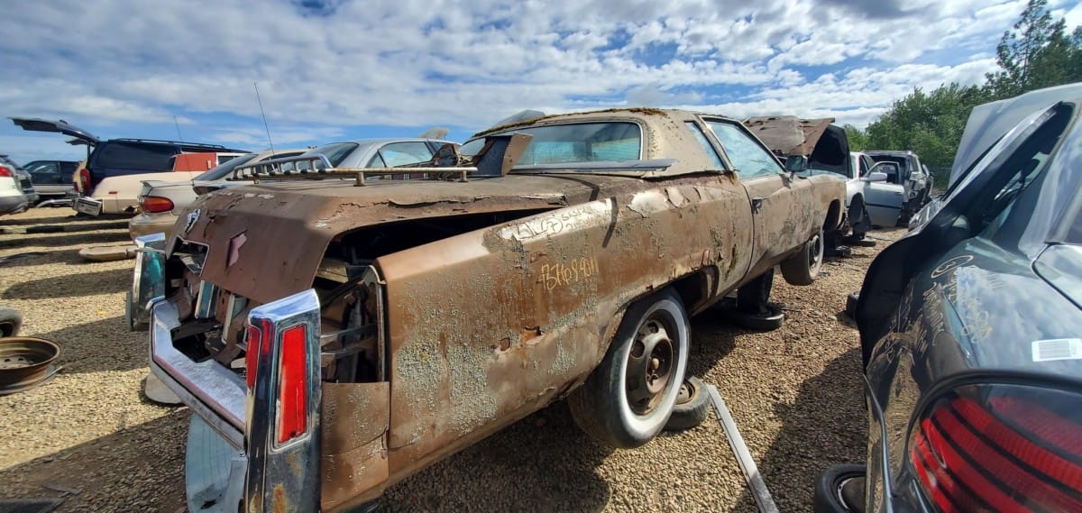 shot and posted by canadiancatgreen These aren’t cars anymore; they have been liberated from the assumptions, expectations and demands placed on them by their makers and owners. No more! They’re [&hellip;]
