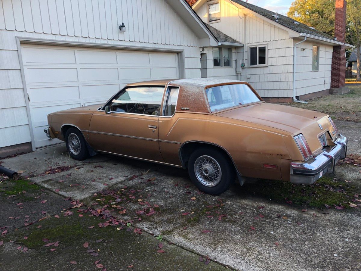 It’s always nice to run into an old friend on a walk, especially on a bright and colorful fall day. I first ran into it at least ten years ago, [&hellip;]