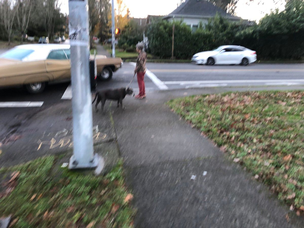 Few things make me happier than to see one of my former curbside classic daily drivers still at it. I first spotted this ’67 Bonneville over ten years ago in [&hellip;]