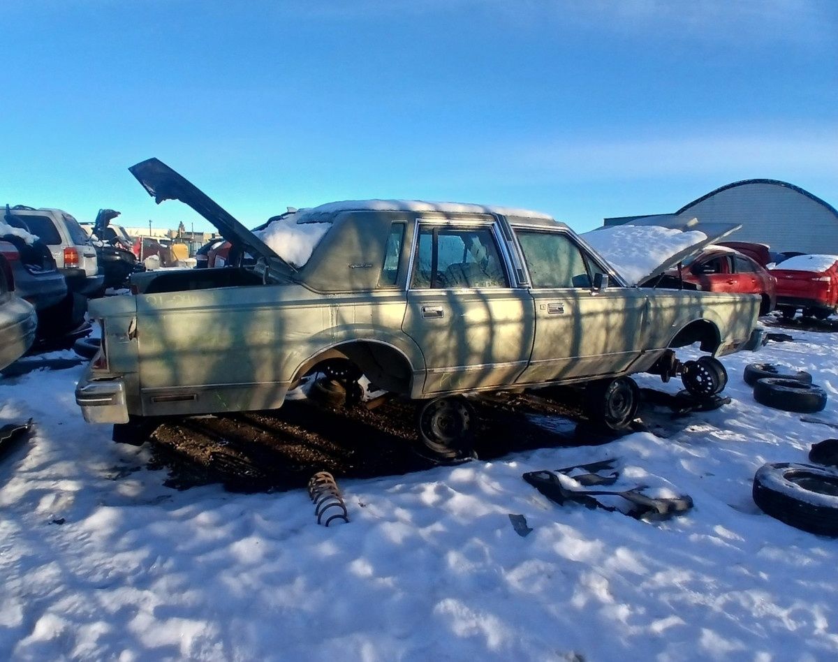 Let’s view some winter junkyard finds by canadiancatgreen, one of our most prolific Cohort contributors. For today, it will be a 1980s collection, a way to revisit that decade of [&hellip;]