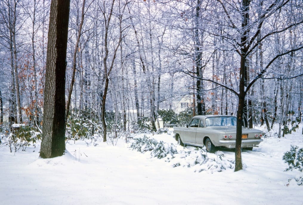 Text by Patrick Bell. A polar vortex has tightened its grip on much of the U.S. once again so let’s escape to some better weather trips to the woods.  These [&hellip;]