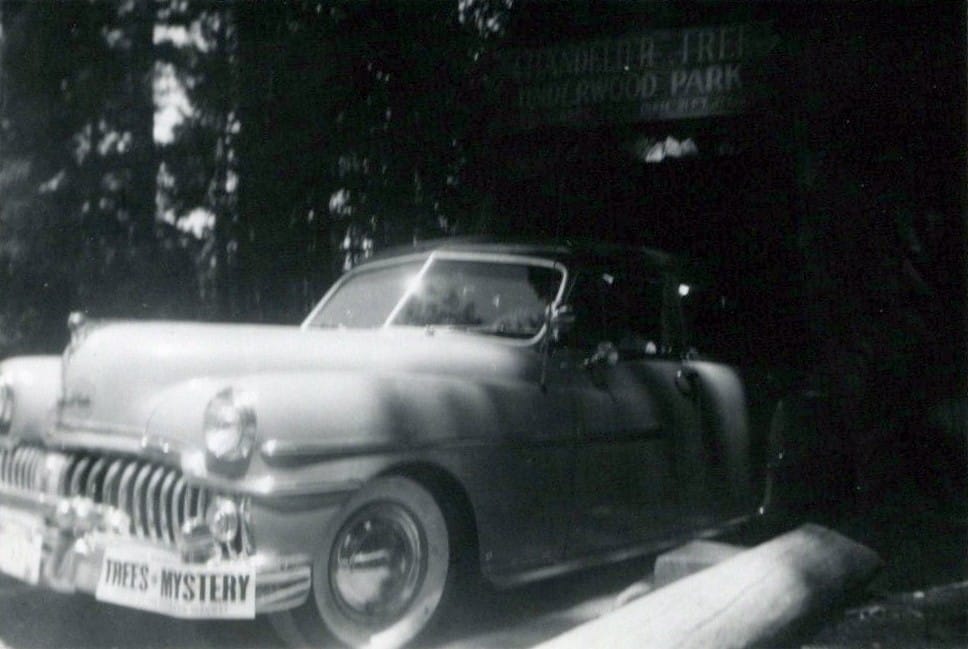Family Trips of a Lifetime: Trees of Mystery and Other Roadside Attractions 7 FastFoto 0250 a 1