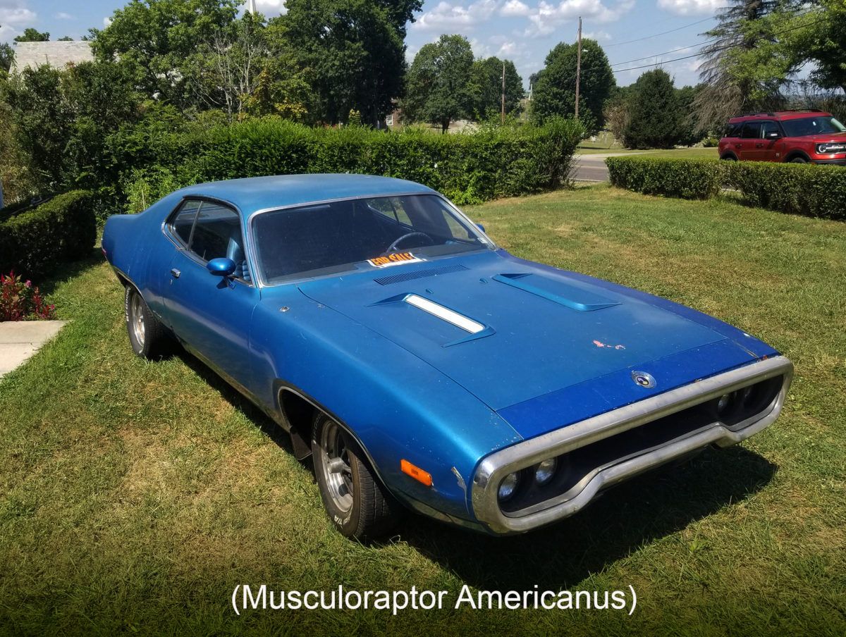 Front Lawn Deal: 1972 Plymouth Road Runner For Sale - ACME Tools Needed To Fix This Classic 1 54716869036 08b6542127 ak