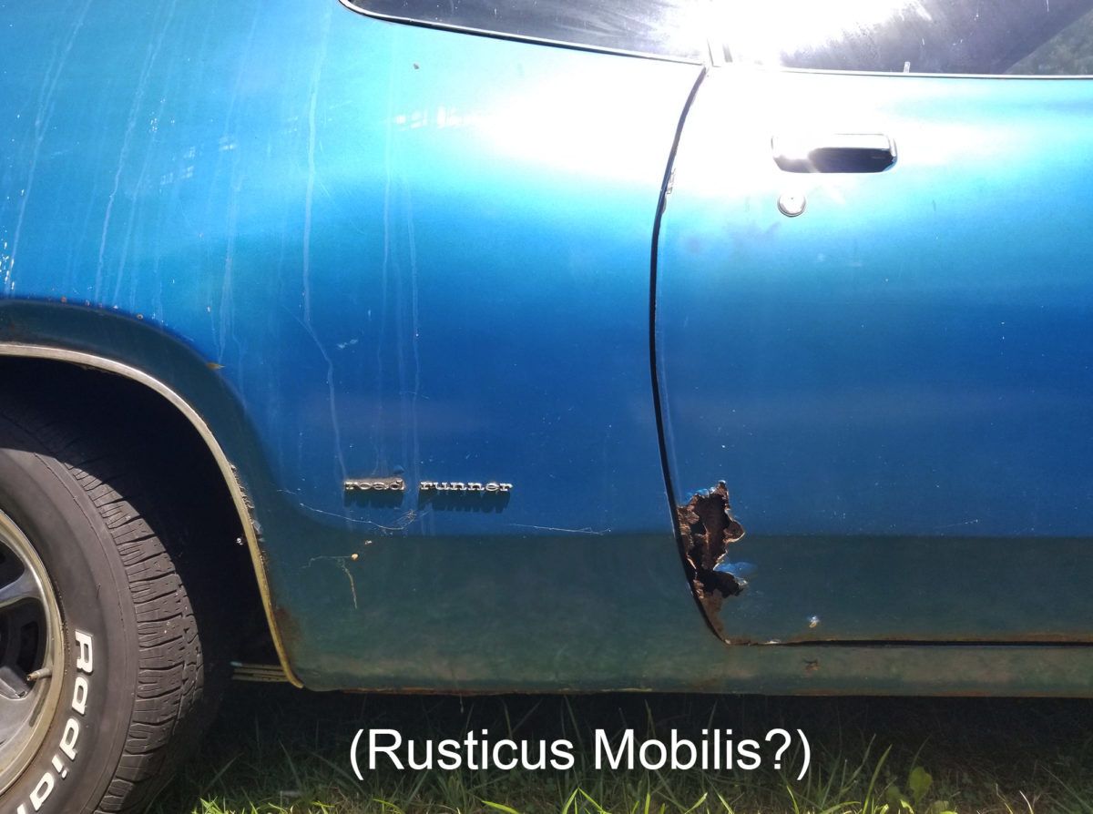 Front Lawn Deal: 1972 Plymouth Road Runner For Sale - ACME Tools Needed To Fix This Classic 4 54717083548 5f788c9670 ak