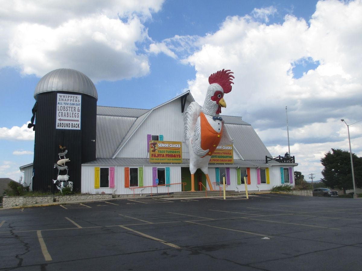 CC Roadtrip Documentary: Fresh Harvests On Familiar Ground 45 IMG 2212 1